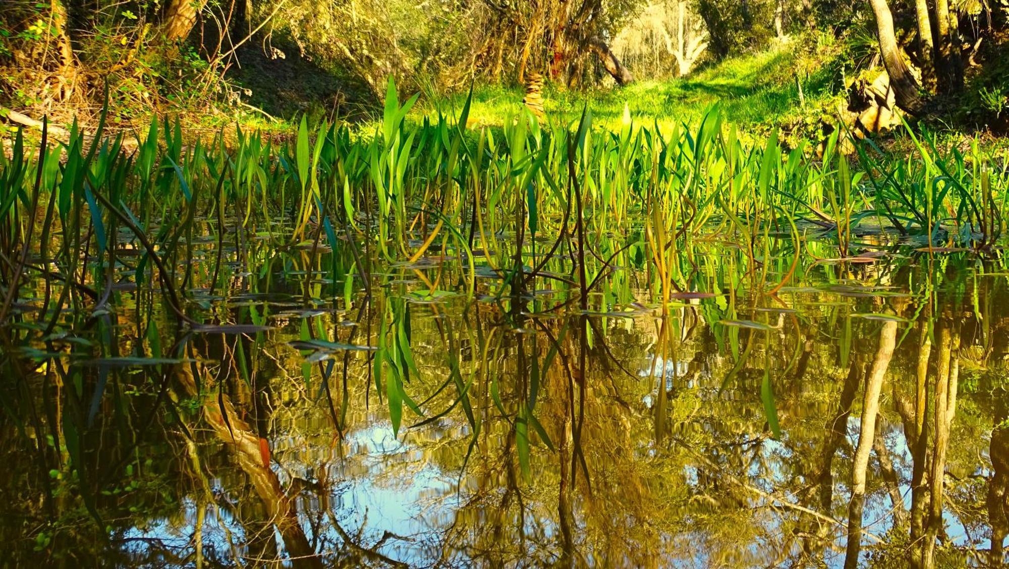 Herdade Vale De Gaios By Stay In Alentejo São Luis Exterior foto