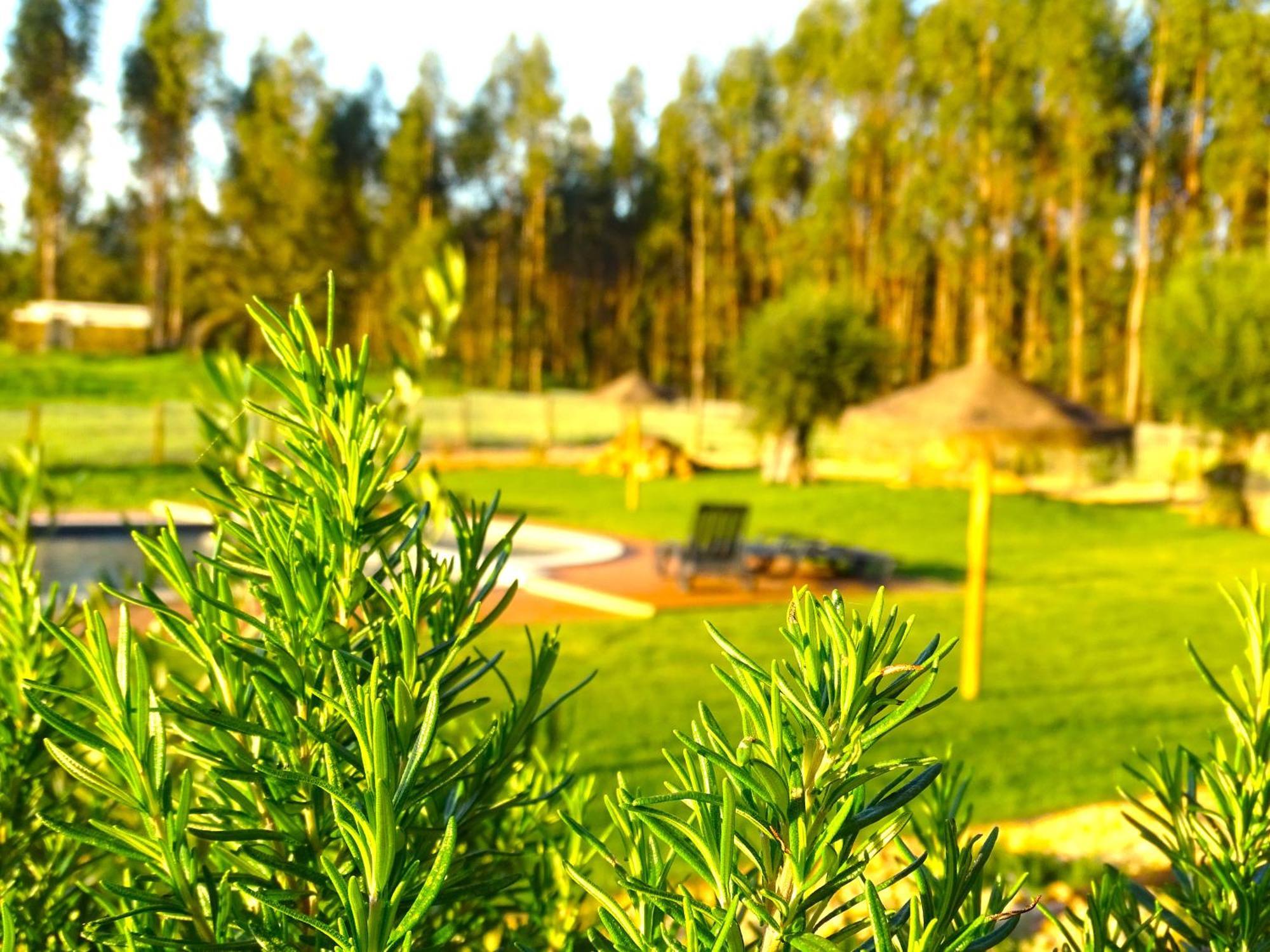Herdade Vale De Gaios By Stay In Alentejo São Luis Exterior foto