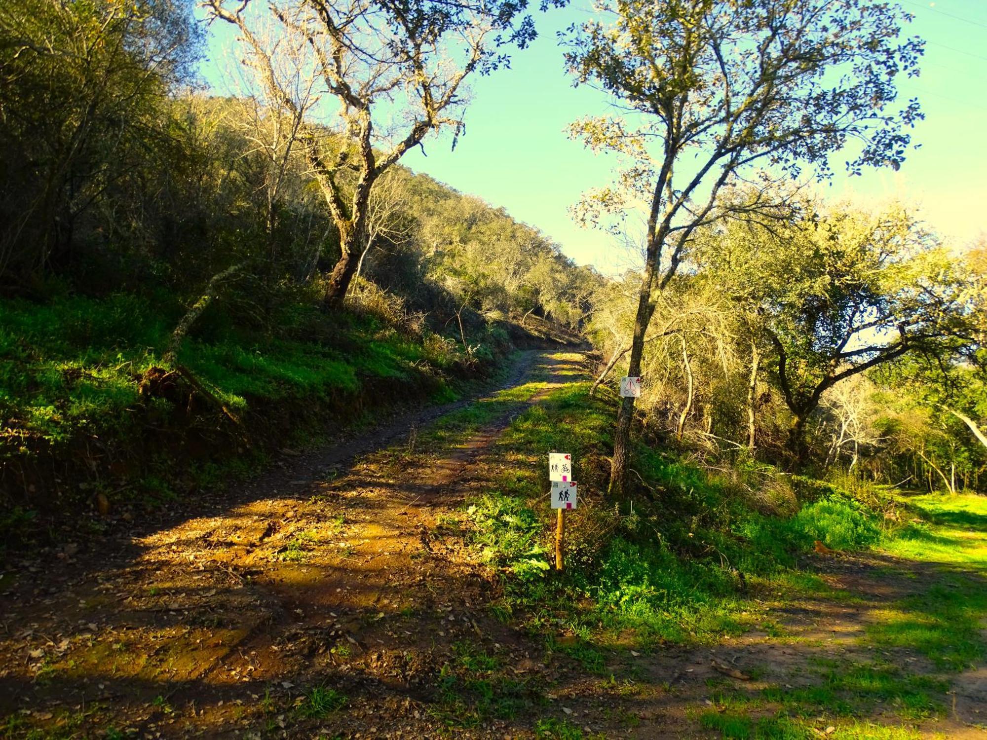 Herdade Vale De Gaios By Stay In Alentejo São Luis Exterior foto